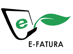 e-Fatura nedir? e-Fatura sistemi ve özellikleri