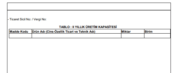 TOBB Kapasite Raporu Örnek Sayfa 3