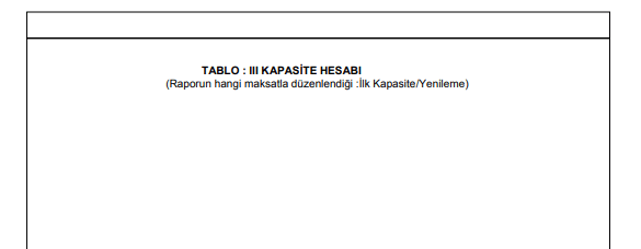 TOBB Kapasite Raporu Örnek Sayfa 4